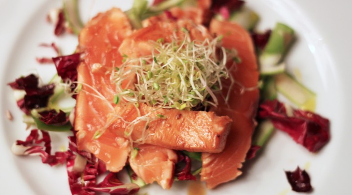 salmone 